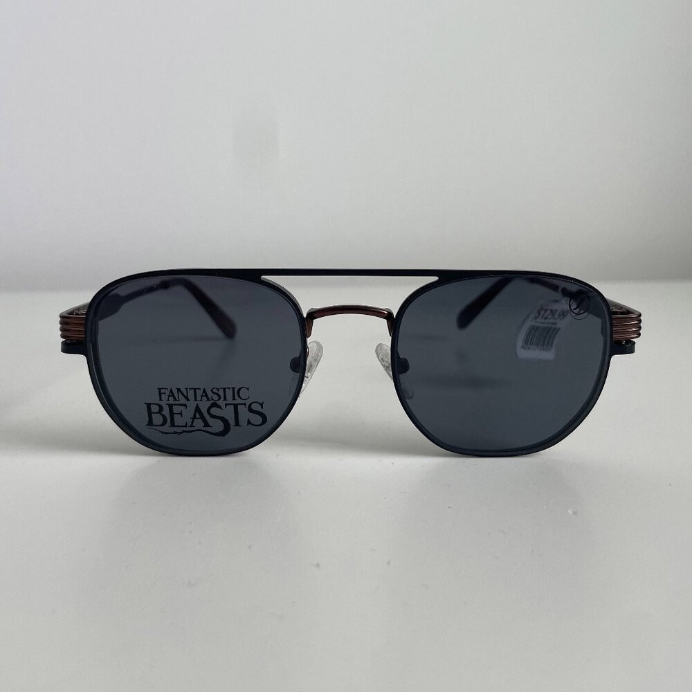 Harry Potter Fantastic Beasts x Chilli Beans Special Edition Optical Glasses